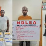 NDLEA: Brazil returnees excrete 116 drug wraps