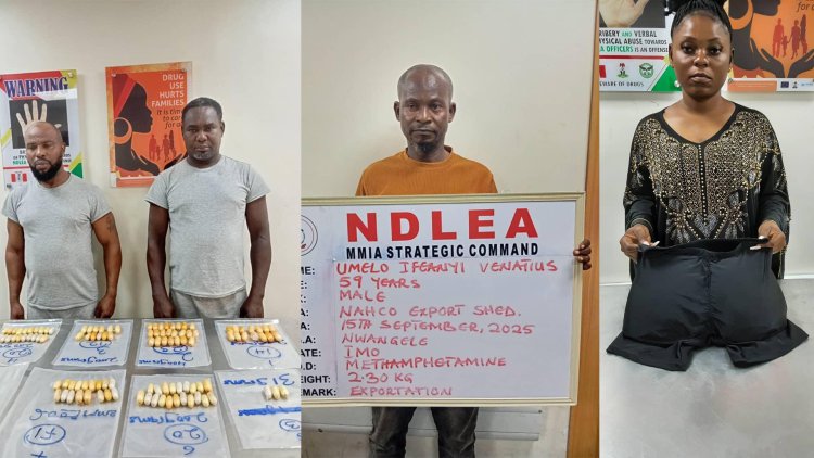 NDLEA: Brazil returnees excrete 116 drug wraps