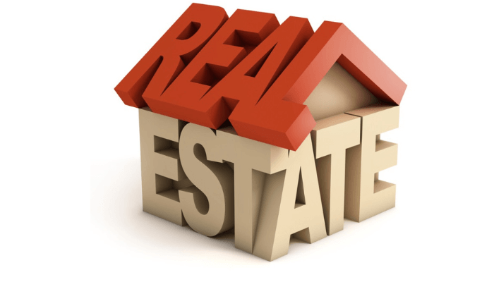 real-estate-1-1