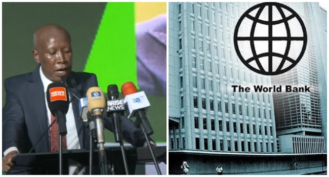 world-bank-malema