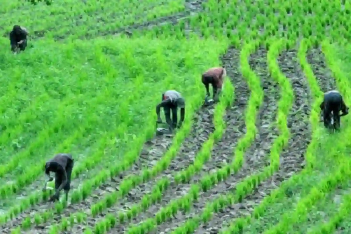 Agric