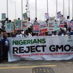Ban-GMO-Foods-in-Nigeria