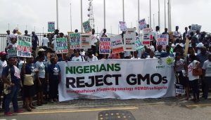 Ban-GMO-Foods-in-Nigeria
