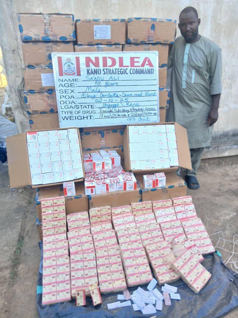 NDLEA smashes cocaine cartels behind 6 UK-bound shipments, arrests arrowhead, 5 others