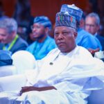 Vice President Kashim Shettima