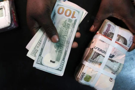 Naira-and-Dollar-Bills-1-450×300