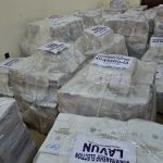 Niger-council-polls-1