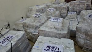 Niger-council-polls-1
