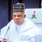 Vice President Kashim Shettima