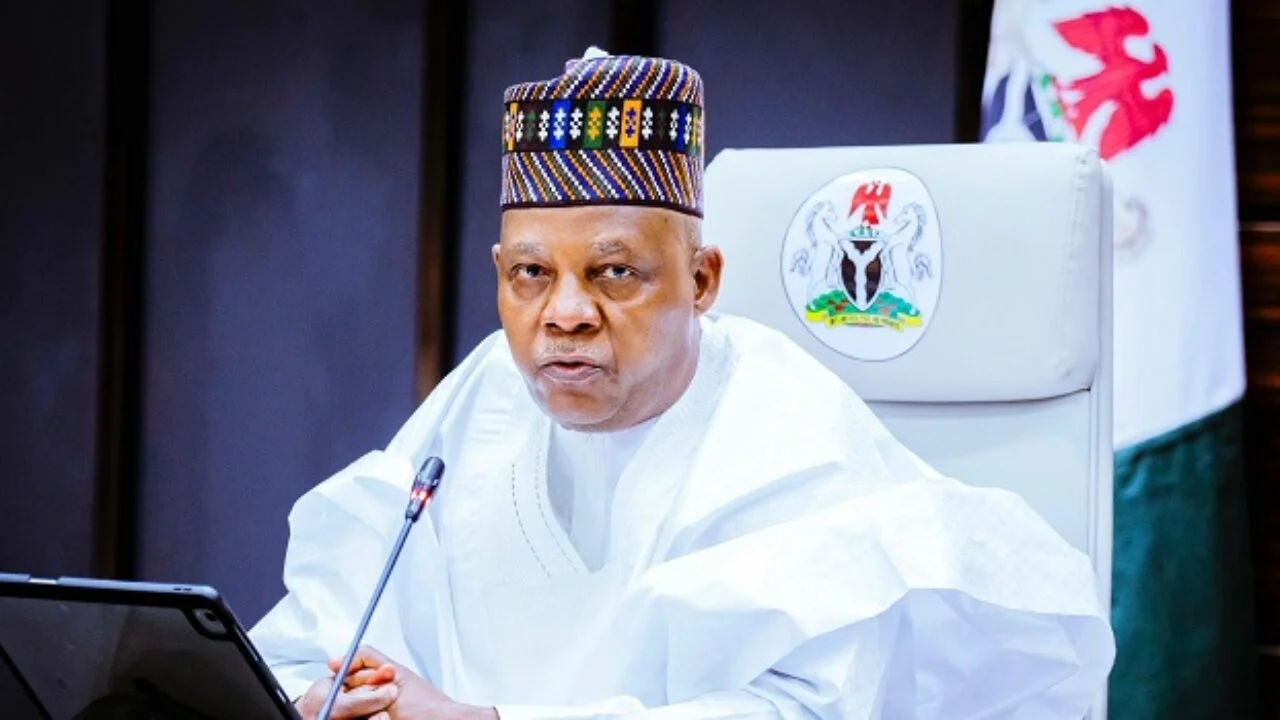 Vice President Kashim Shettima