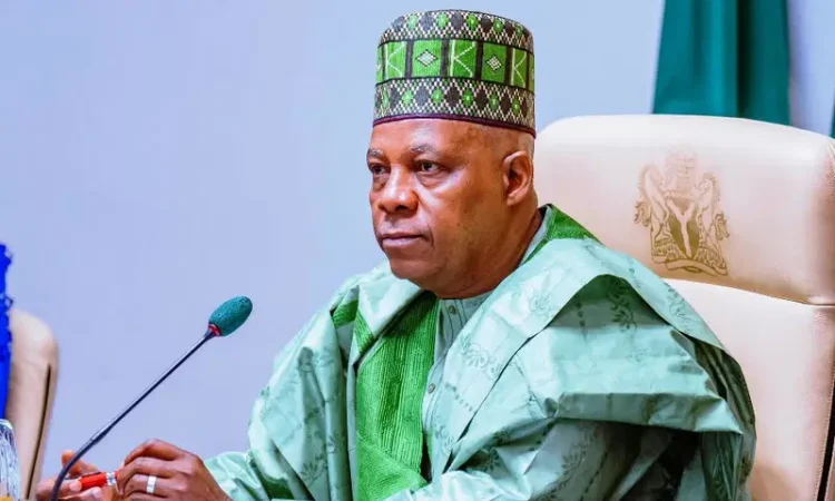 Vice President Kashim Shettima
