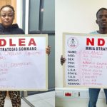 NDLEA seizes drugs in snails, light bulbs for US, UK, DRC