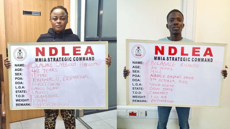 NDLEA seizes drugs in snails, light bulbs for US, UK, DRC