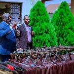 Delta: Oborevwori orders manhunt on criminal gangs as DSS intercepts cache of arms