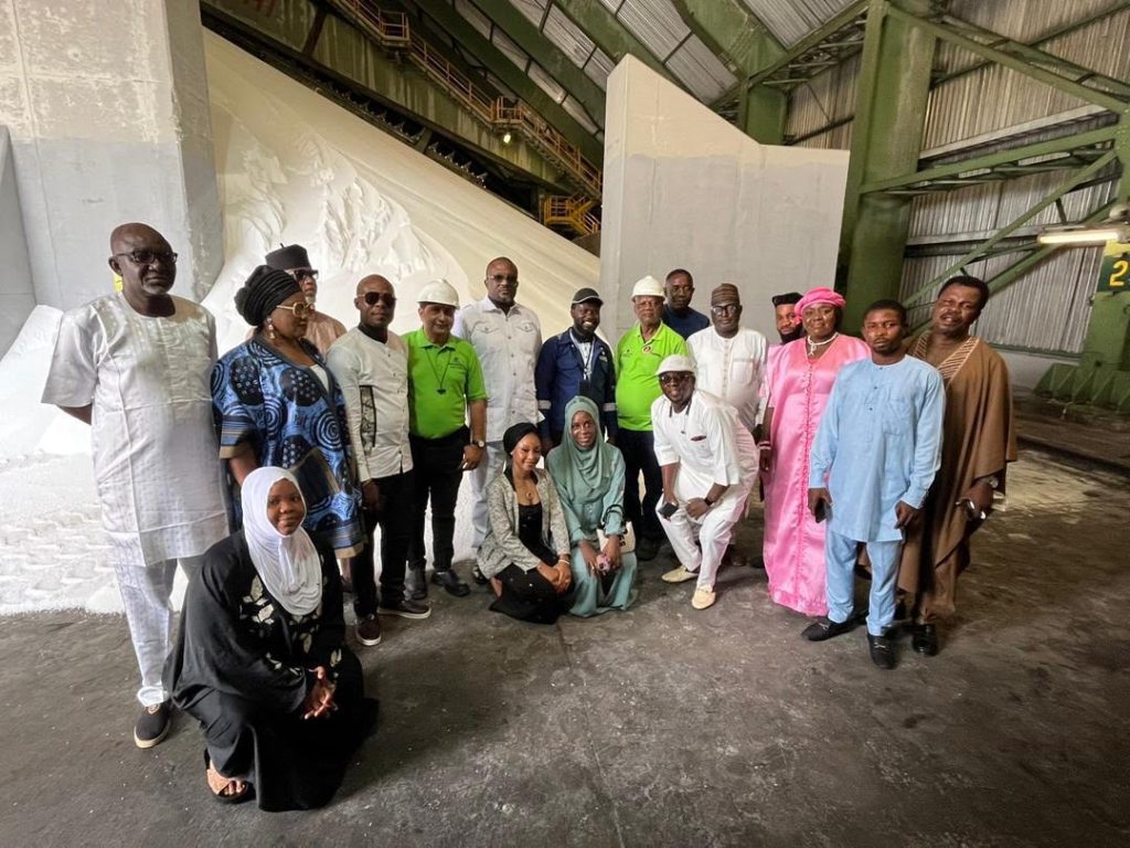 Content creators pledge to protect Dangote Refinery from saboteurs