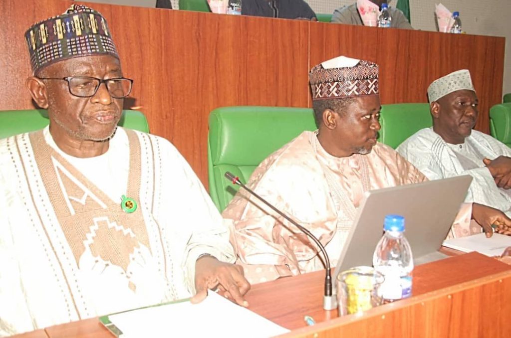 Border security: 1,894 illegal entry routes worrisome – Reps