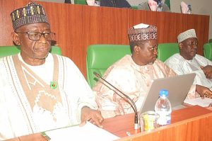 Border security: 1,894 illegal entry routes worrisome – Reps