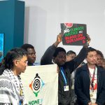 COP30: Nature is not for sale, environmental groups warn Nigeria