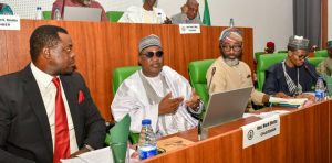 Reps probe management of N12 trillion DFI fund