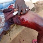 Priests raise alarm over renewed killings by herdsmen in Southern Taraba