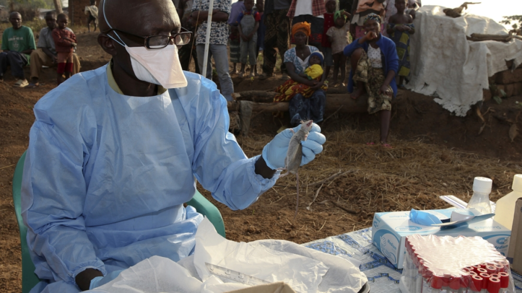 Lassa fever deaths in 2025 hit 176