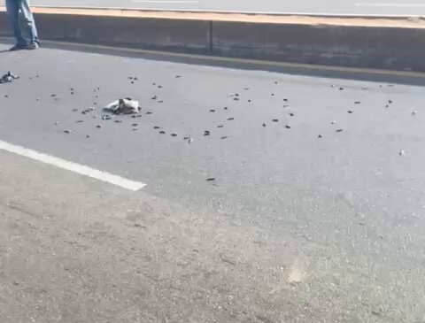 Police recover 210 rounds of ammunition dumped on Zaria–Funtua highway