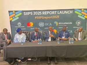 Africa’s instant payment transactions hit $2trn in 2024 – SIIPS report