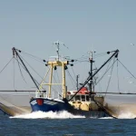 Illegal fishing