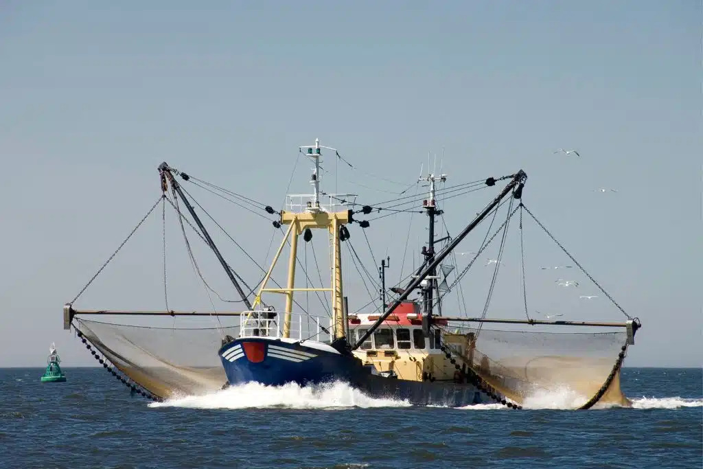 Illegal fishing