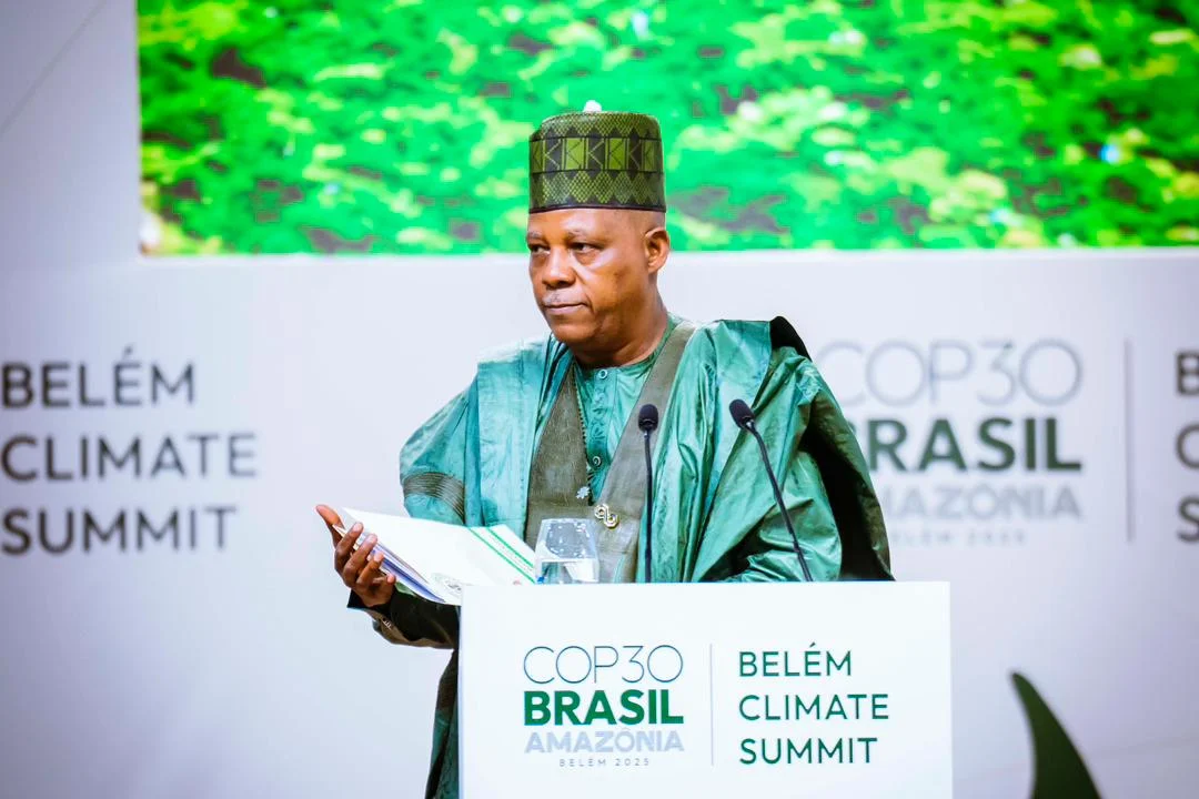 Vice President Kashim Shettima
