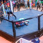 Nigeria Mixed Martial Arts Federation