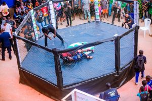 Nigeria Mixed Martial Arts Federation