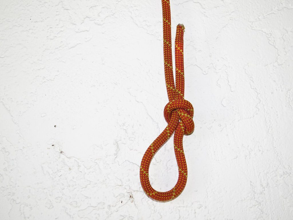 NooseKnot