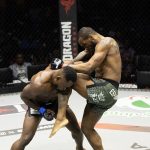 PFL Africa Finals