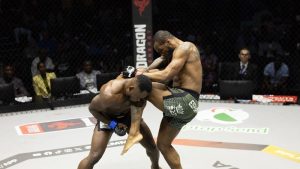 PFL Africa Finals
