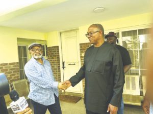 Chris Ngige receives Peter Obi