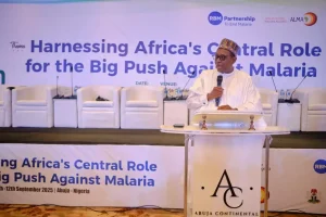 Coordinating Minister of Health and Social Welfare Prof Muhammad Ali Pate
