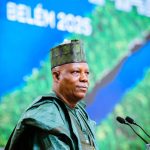 Vice President Kashim Shettima