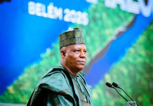 Vice President Kashim Shettima