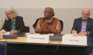 INEE Country Focal Person Nwigwe calls for urgent support for children living in emergency situations