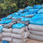 Drug network busted in Kogi as NDLEA collaborates with state government