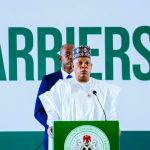 Vice President Kashim Shettima