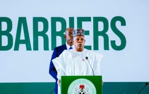 Vice President Kashim Shettima