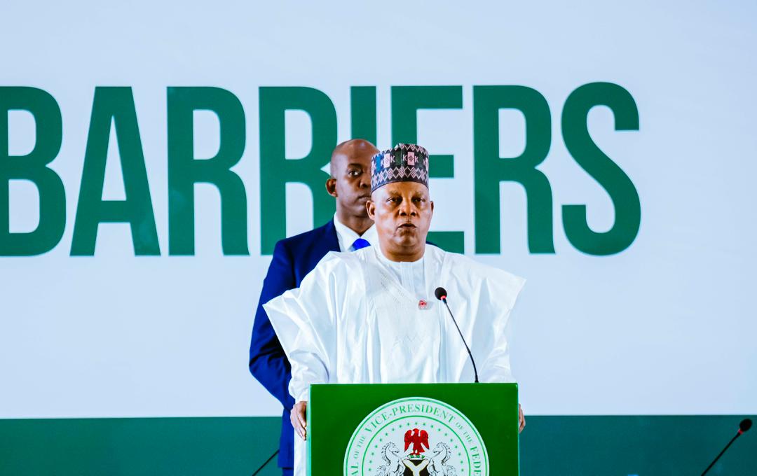 Vice President Kashim Shettima