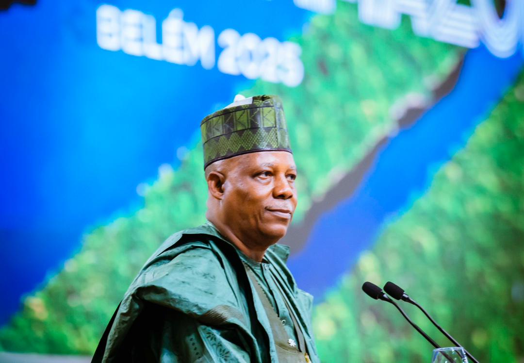 Vice President Kashim Shettima,
