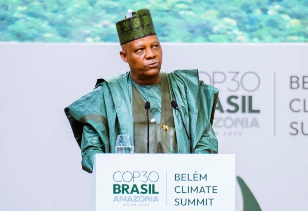 Vice President Kashim Shettima
