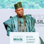 Vice President Kashim Shettima