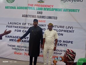 FG eyes $3.65bn cassava deal, signs partnership with firm