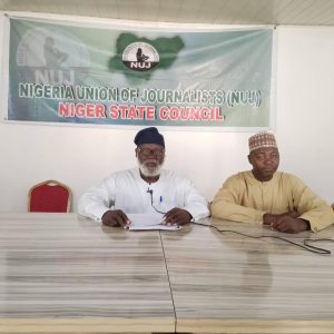 Niger: Election observers praise peaceful conduct of local poll