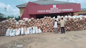 NDLEA arrests couple over 4.7 tonnes of marijuana
